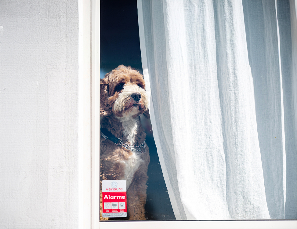 Image de fond d'un barrage